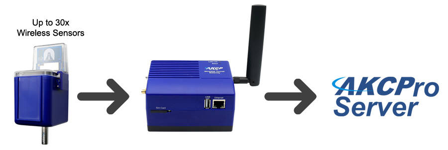 sensorProbe+ Wireless Tunnel™ Server - gizmo